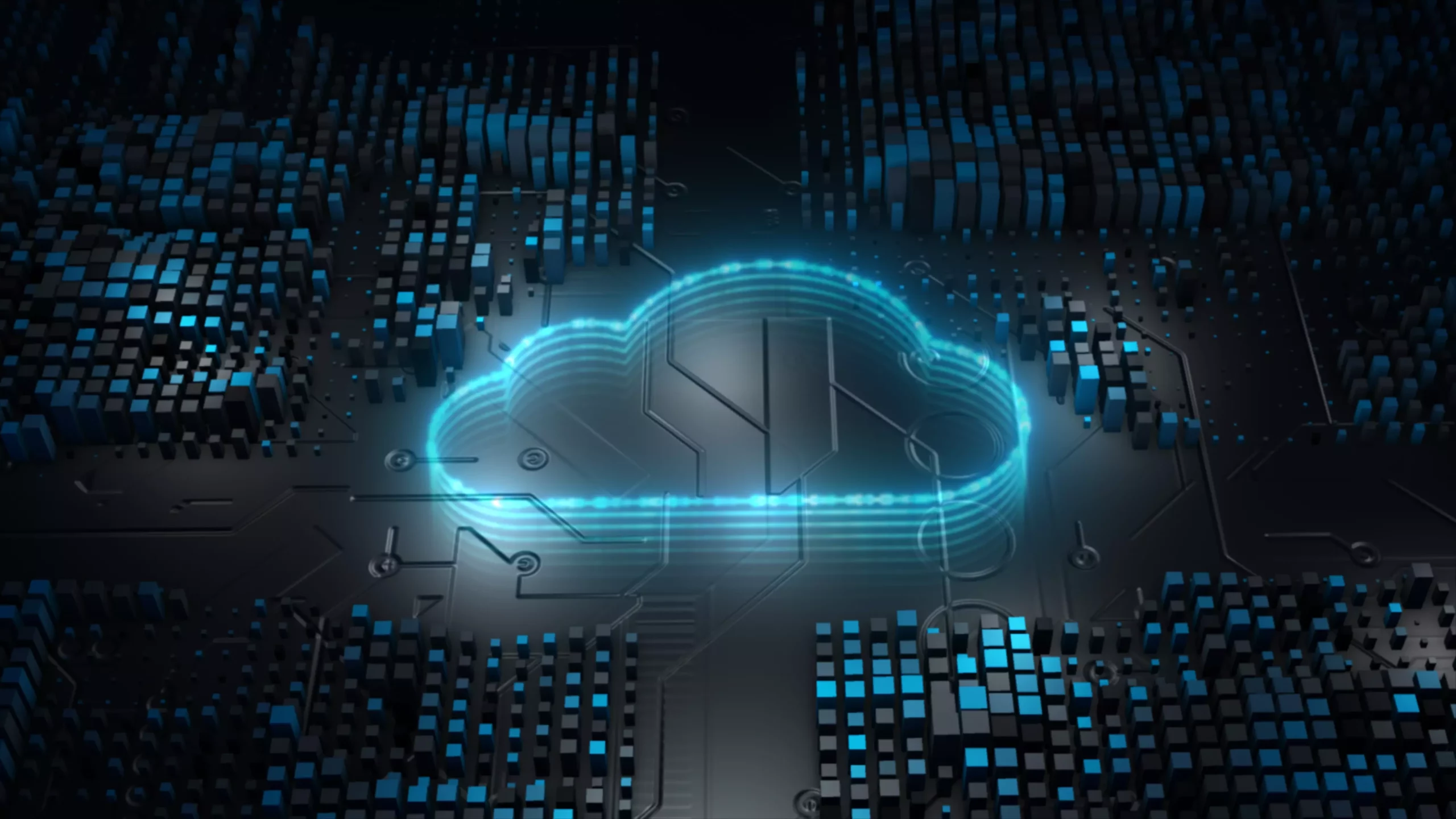 What Managed Cloud Services Can Do For Your Business