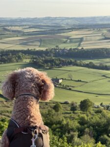 fam Michael Delany IMG 4035 Jamie Davey